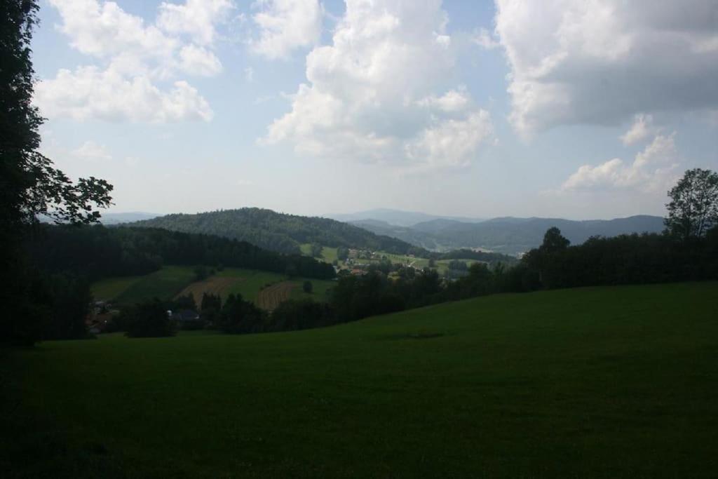 Ferienhaus Toso Freyung Esterno foto