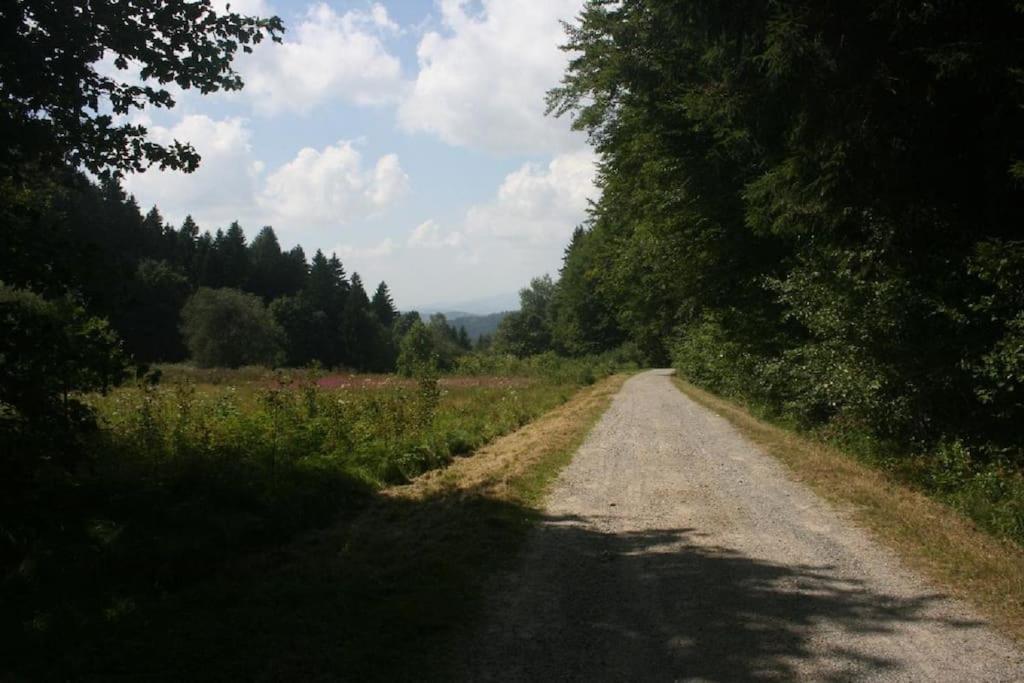Ferienhaus Toso Freyung Esterno foto